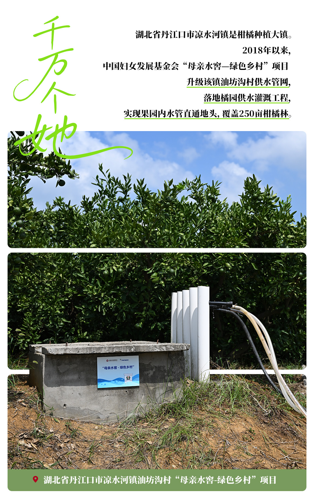 海报丨一滴水，二十五年，千万她光芒