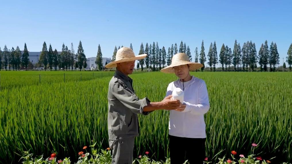 新华视点｜各地多维度发力 多元探索绘就乡村振兴新画卷