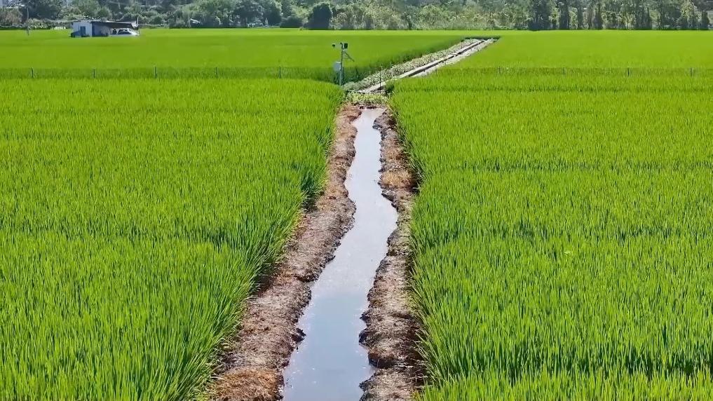 新华视点｜各地多维度发力 多元探索绘就乡村振兴新画卷