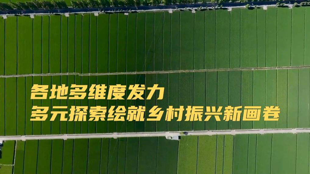 新华视点｜各地多维度发力 多元探索绘就乡村振兴新画卷