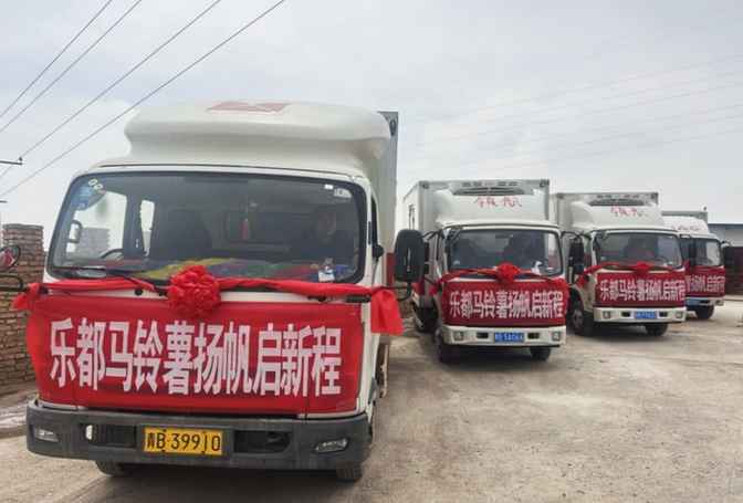 一颗“致富薯”的丝路之旅