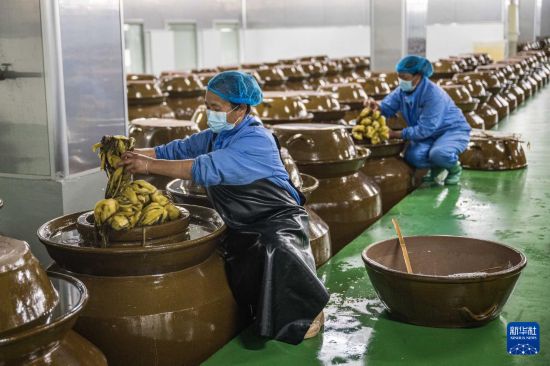 云南镇雄:山区产业园助力乡村振兴