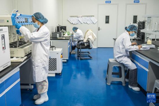 云南镇雄:山区产业园助力乡村振兴