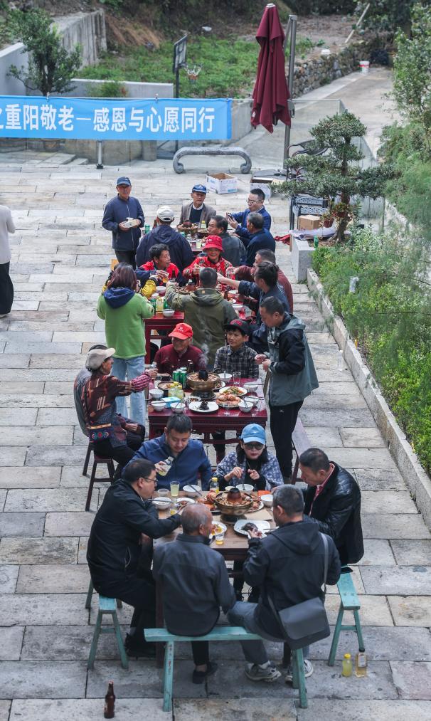 公益收菜计划温暖山村留守老人