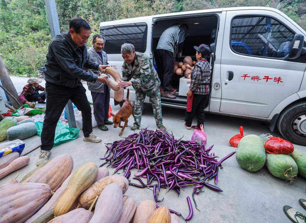 公益收菜计划温暖山村留守老人