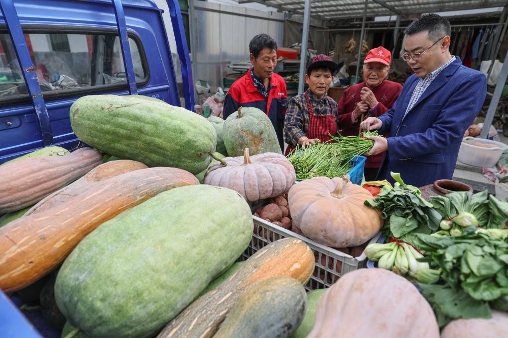 公益收菜计划温暖山村留守老人