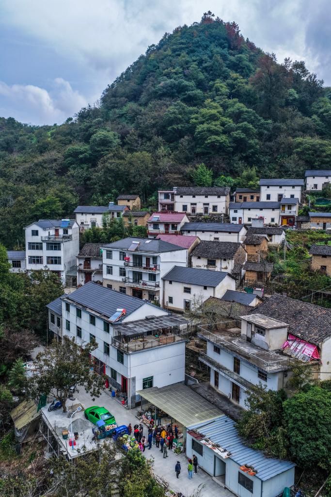 公益收菜计划温暖山村留守老人