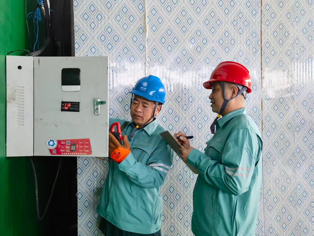 “红灯笼”下话振兴——“柿子沟”丰收一线见闻