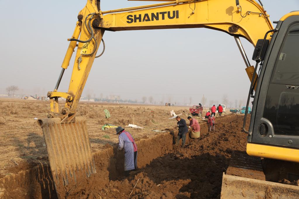 河南温县:铁棍山药产业助农增收