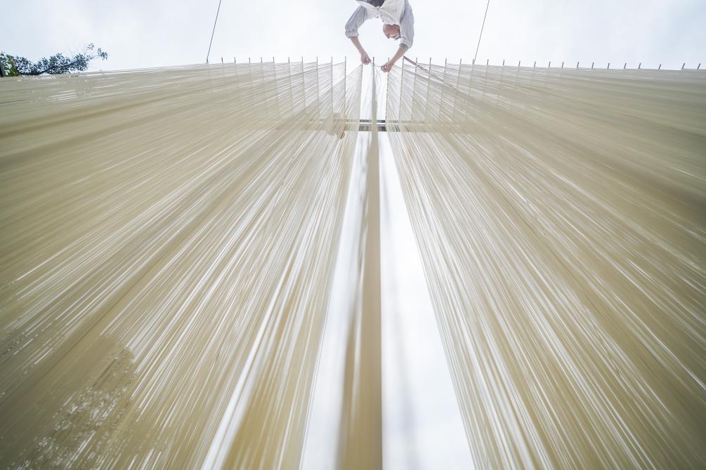 四川德阳:挂面拉出乡村振兴路