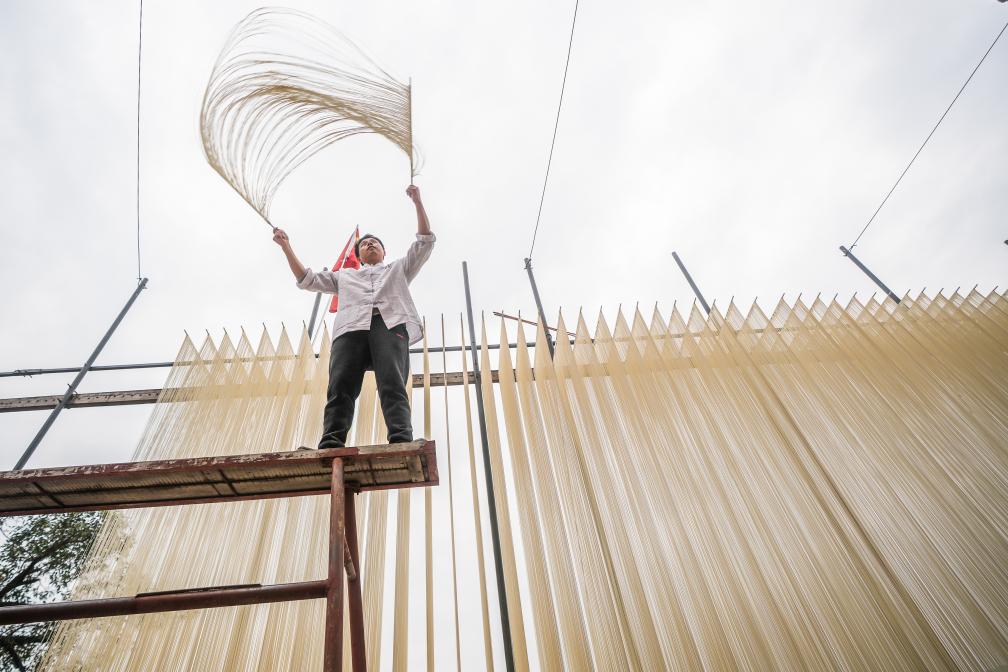 四川德阳:挂面拉出乡村振兴路
