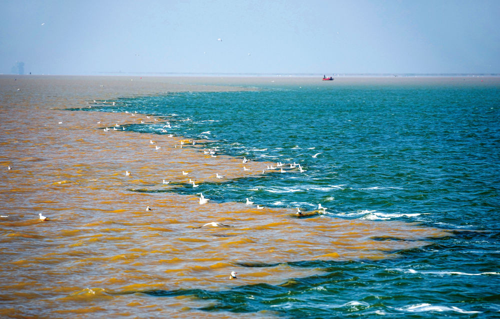 顺流而下的生态守护 逆流而上的协作帮扶——黄河首尾,情系一脉