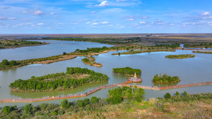顺流而下的生态守护 逆流而上的协作帮扶——黄河首尾,情系一脉