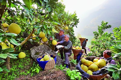 以路为“桥” 富民强村——湖北省长阳土家族自治县道路建设影像纪实