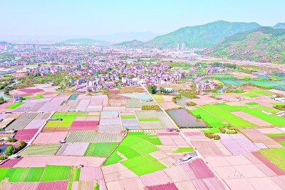 乡村人才汇聚 发展动力澎湃