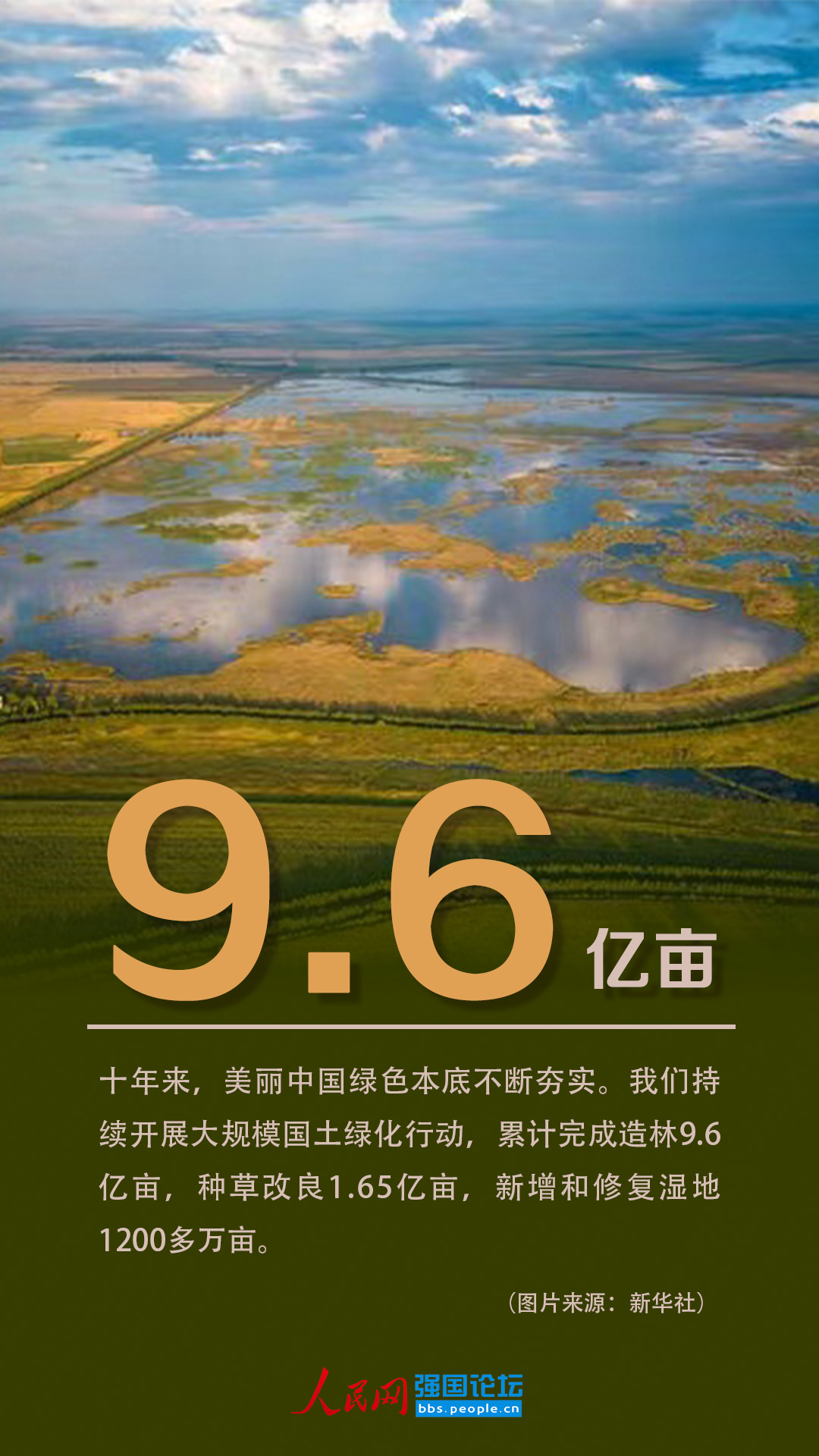 造林9.6亿亩！十年来美丽中国绿色本底不断夯实