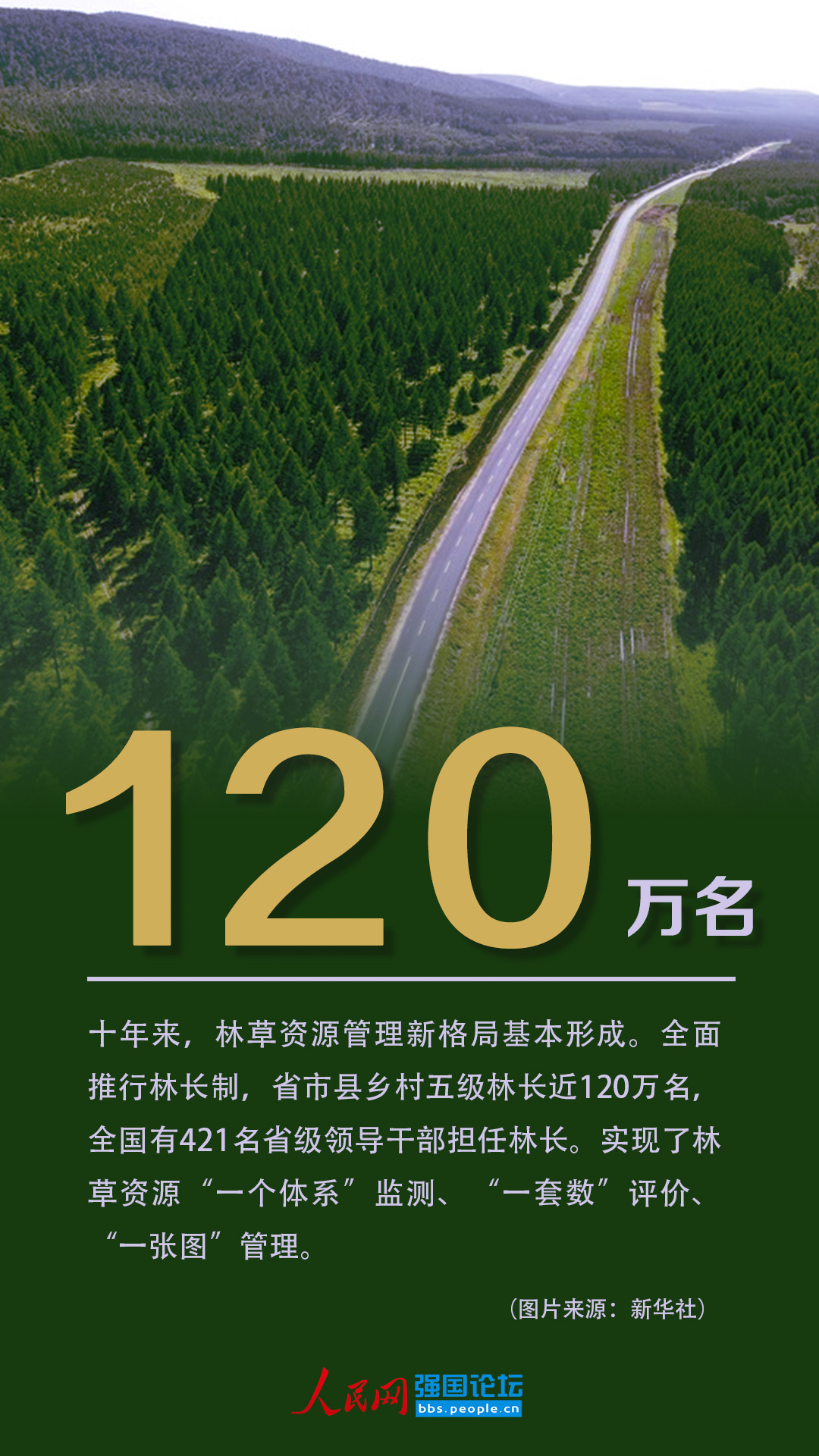 造林9.6亿亩！十年来美丽中国绿色本底不断夯实