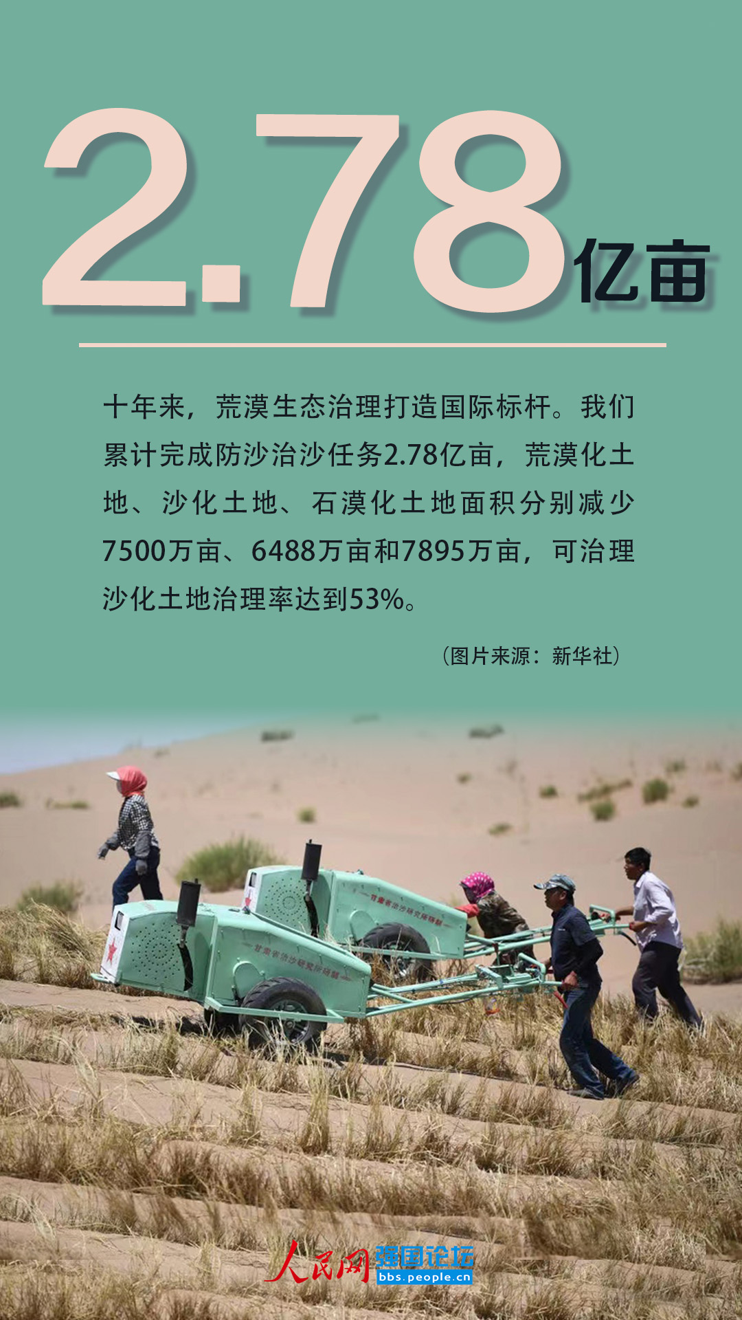 造林9.6亿亩！十年来美丽中国绿色本底不断夯实
