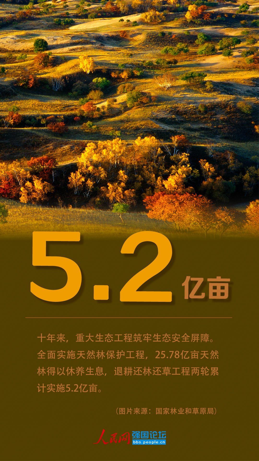 造林9.6亿亩！十年来美丽中国绿色本底不断夯实