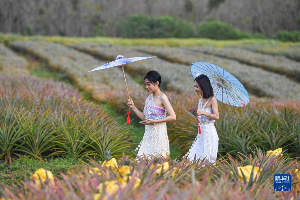 热带田园综合体拓宽乡村振兴发展路