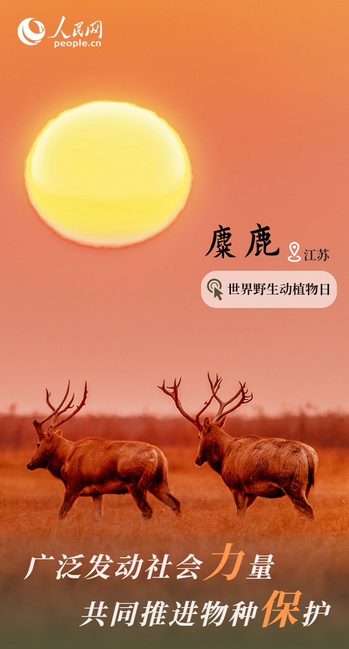 保护率达74%！我国野生动植物保护取得显著成效
