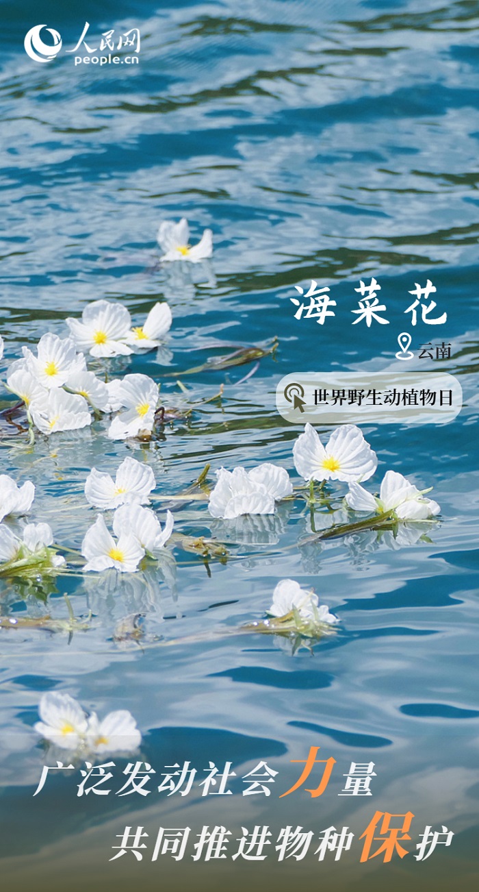 保护率达74%！我国野生动植物保护取得显著成效