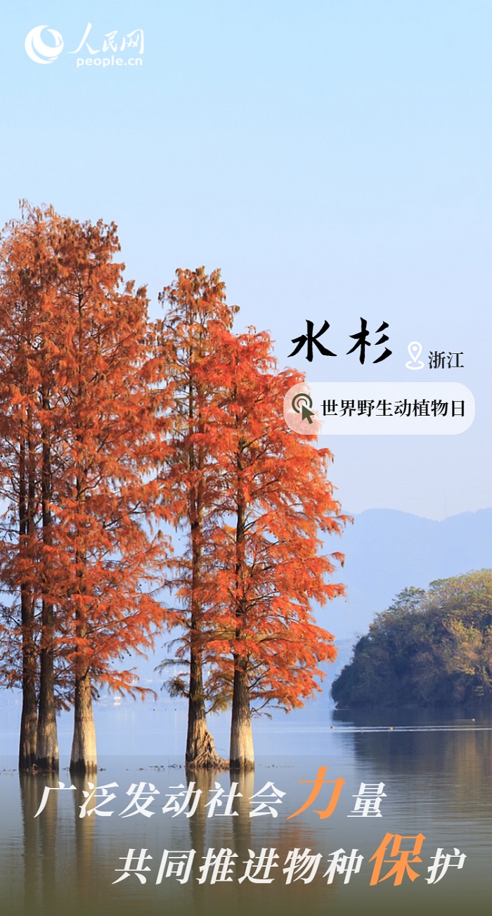 保护率达74%！我国野生动植物保护取得显著成效