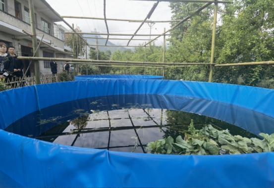 小庭院蕴藏大潜力 助力陕南乡村振兴