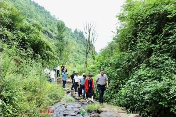 关爱护林员 保护绿水青山 共建美丽中国