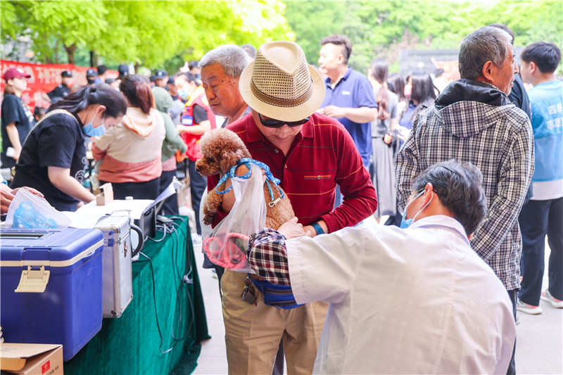 让文明养犬成为常态 北京海淀区四季青镇全力打造生态文明社区