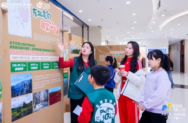 春节里的虎豹保护科普展 市民用行动守护自然家园