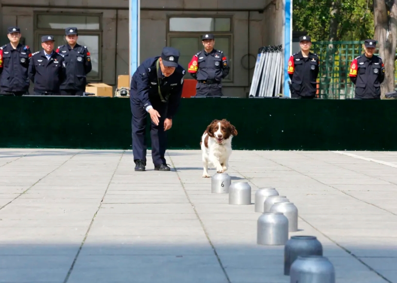 零距离探秘辽河警营 体验警营风采