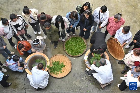 女子学堂助力茶产业