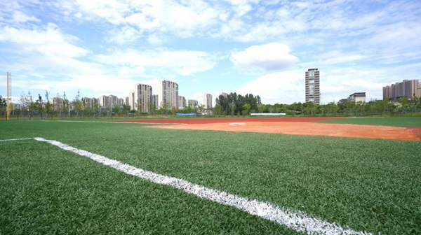 “小场地”焕发“大能量” 看公益金如何助力小众运动蓬勃发展