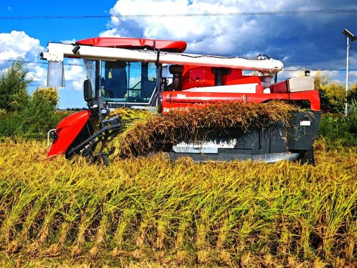 聚焦产业、科技与绿色 中国三星发布新三年社会责任成果