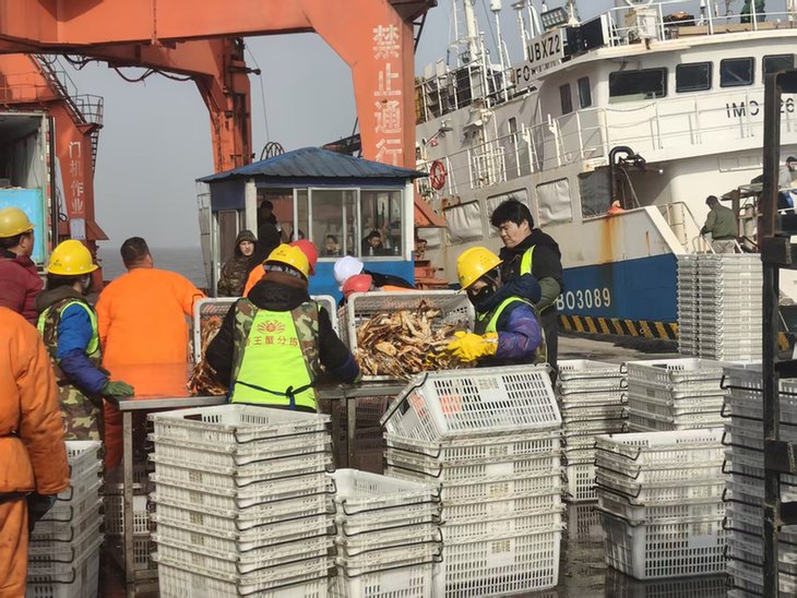 新春走基层|舍团圆,护鲜美:荣成口岸24小时不打烊 新春走基层|舍团圆,护鲜美:荣成口岸24小时不打烊