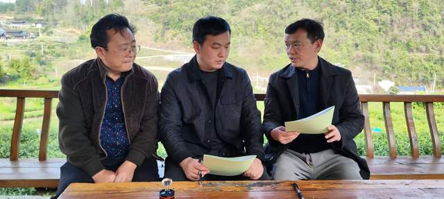 春茶开采正当时 湘西黄金茶地标授权赋能产业提质