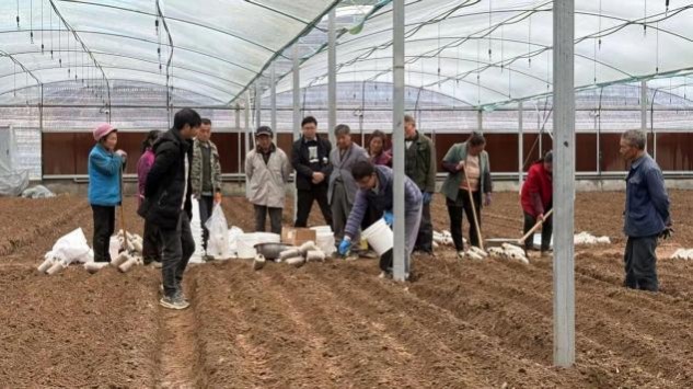 秦巴山间育“金菌” 智慧赋能兴山村