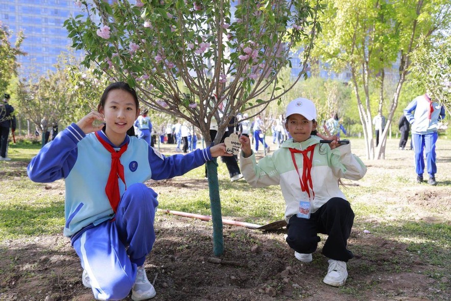 京藏少年手拉手 共植同心向未来