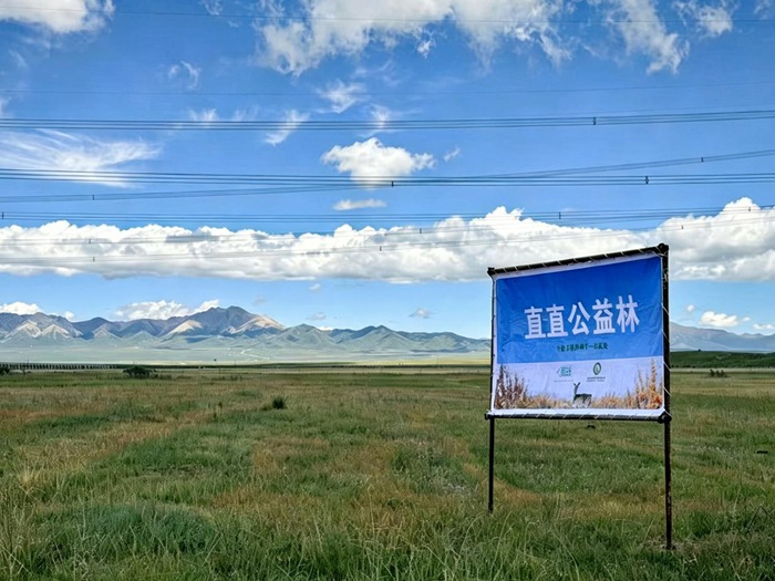 “直直公益行”走进三江源:行走高原腹地,见证万物生长 “直直公益行”走进三江源:行走高原腹地,见证万物生长