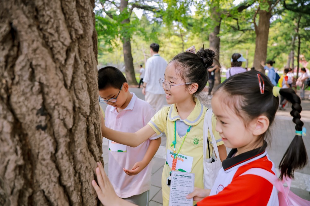 创新青少年自然科普教育 中国平安举办“拥抱古树 守护童心”公益活动