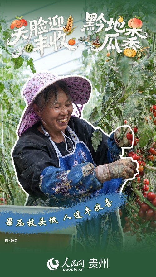 黔彩丰年 | 笑脸如花 “丰”景如画
