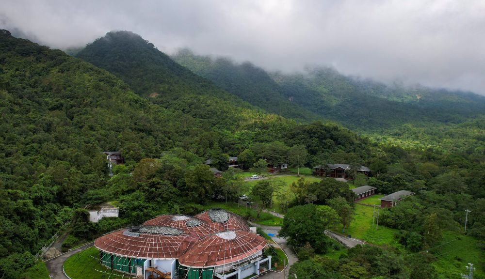 五年了,看海南热带雨林国家公园的这份答卷