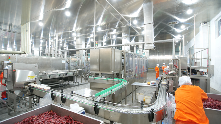 山东胶州:小辣椒串起乡村振兴“增收链”