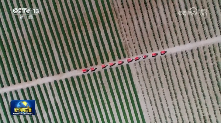 【新思想引领新征程·非凡“十四五”】巩固拓展脱贫攻坚成果 加快推进乡村全面振兴