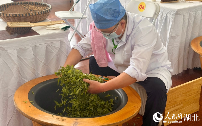 选手正专注地进行绿茶杀青。人民网记者 张沛摄