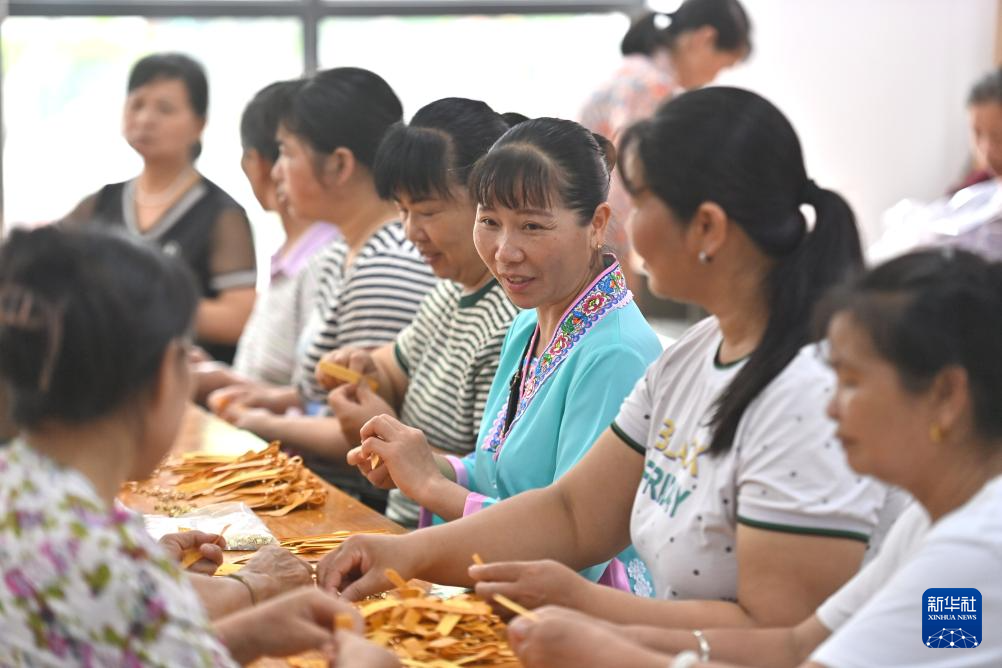 粤桂协作助乡村产业振兴