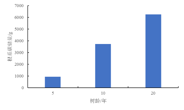 为沙海锁边 在腾格里种下希望