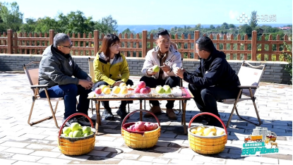 一颗庆阳苹果的旅程:窥见中国农业的现代化答卷 一颗庆阳苹果的旅程:窥见中国农业的现代化答卷