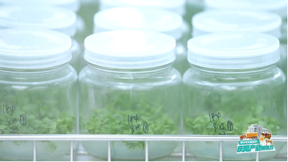 一颗庆阳苹果的旅程:窥见中国农业的现代化答卷 一颗庆阳苹果的旅程:窥见中国农业的现代化答卷